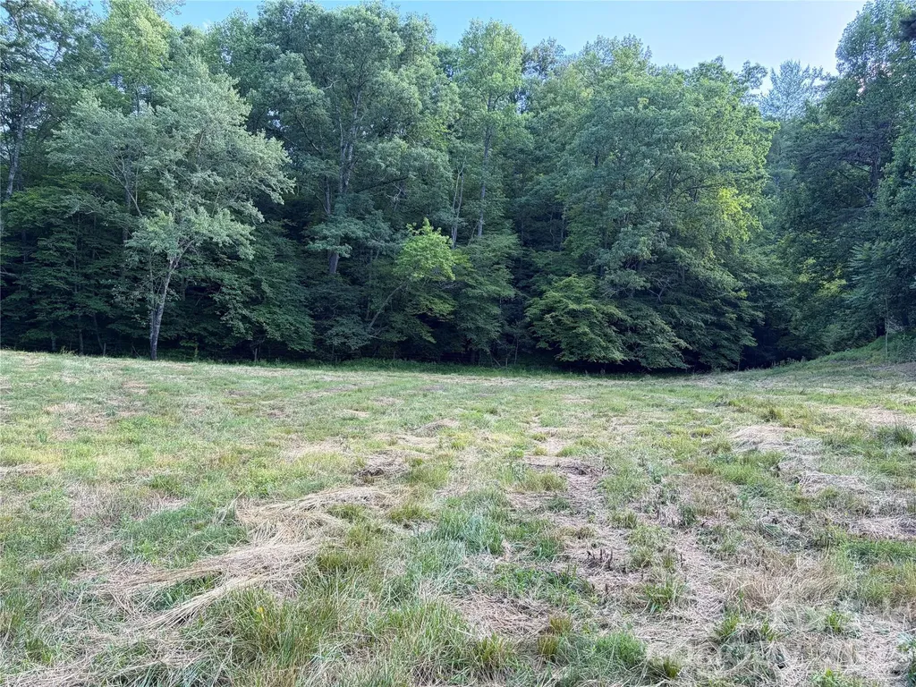 1779 Round Hill Church Road Traphill NC 28685