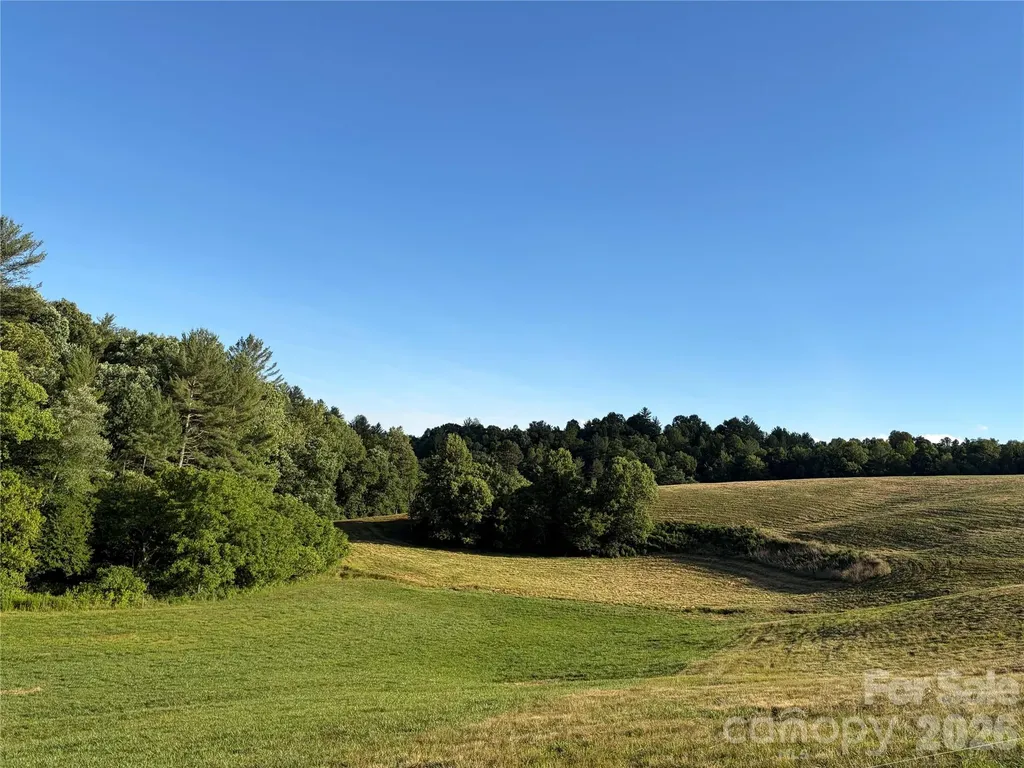 1779 Round Hill Church Road Traphill NC 28685