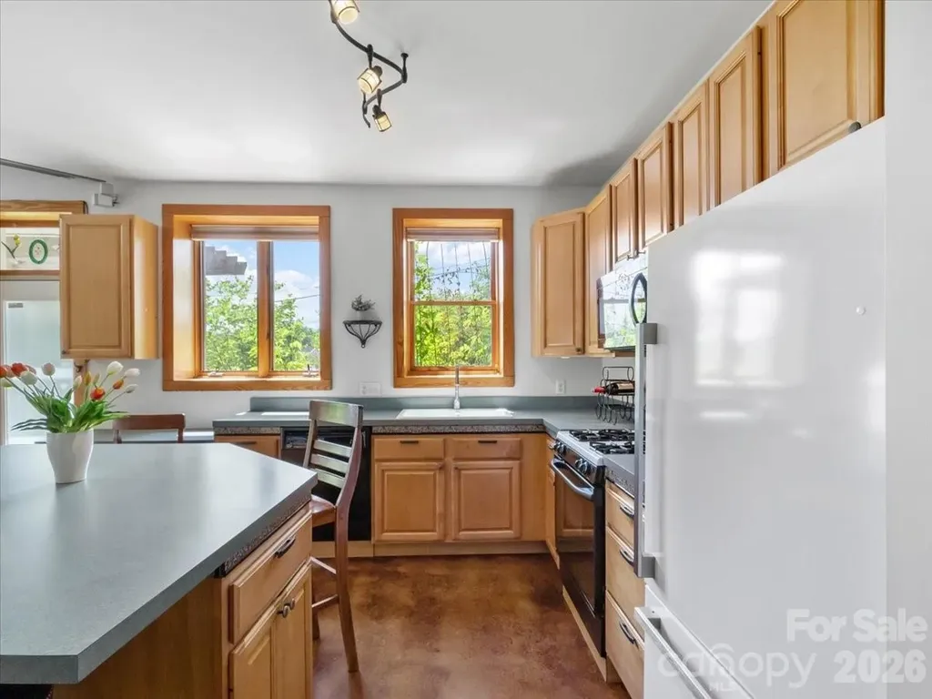 96 Woodrow Avenue Asheville NC 28801