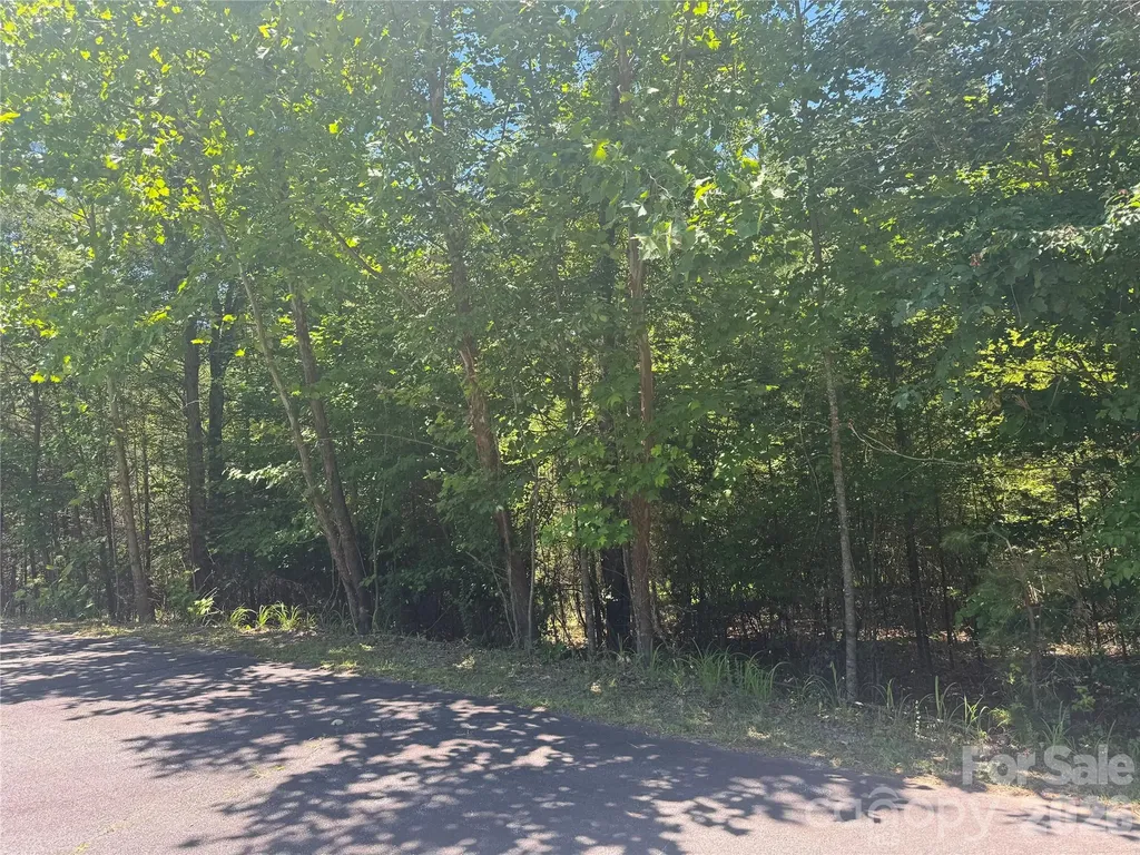 0 Desota Ridge Rutherfordton NC 28139