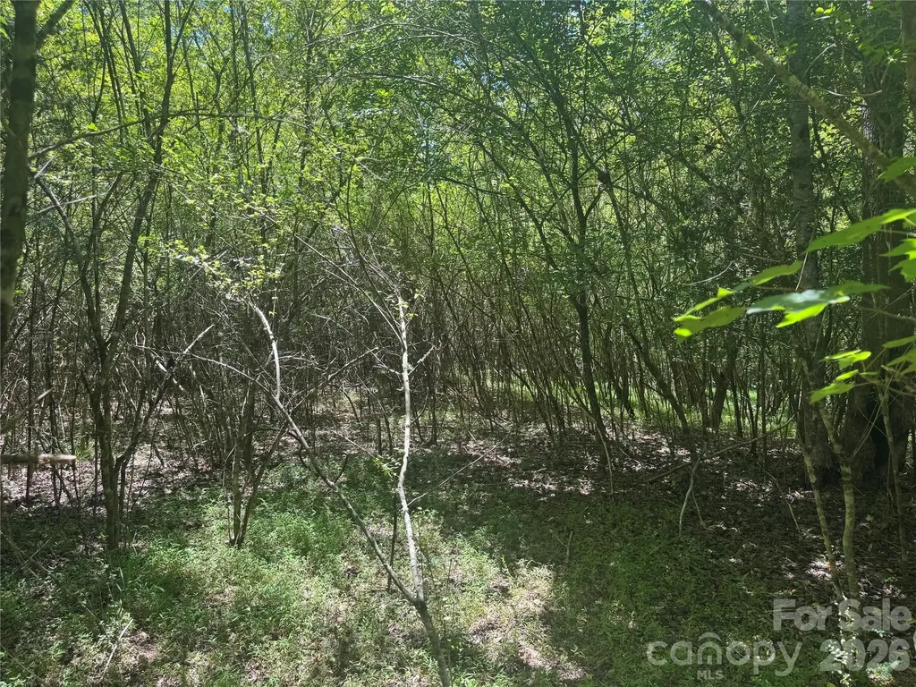 0 Desota Ridge Rutherfordton NC 28139