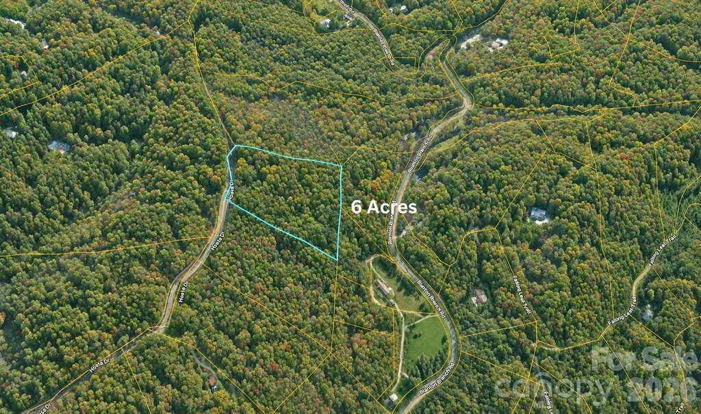 TBD1 Hosta Drive Sylva NC 28779