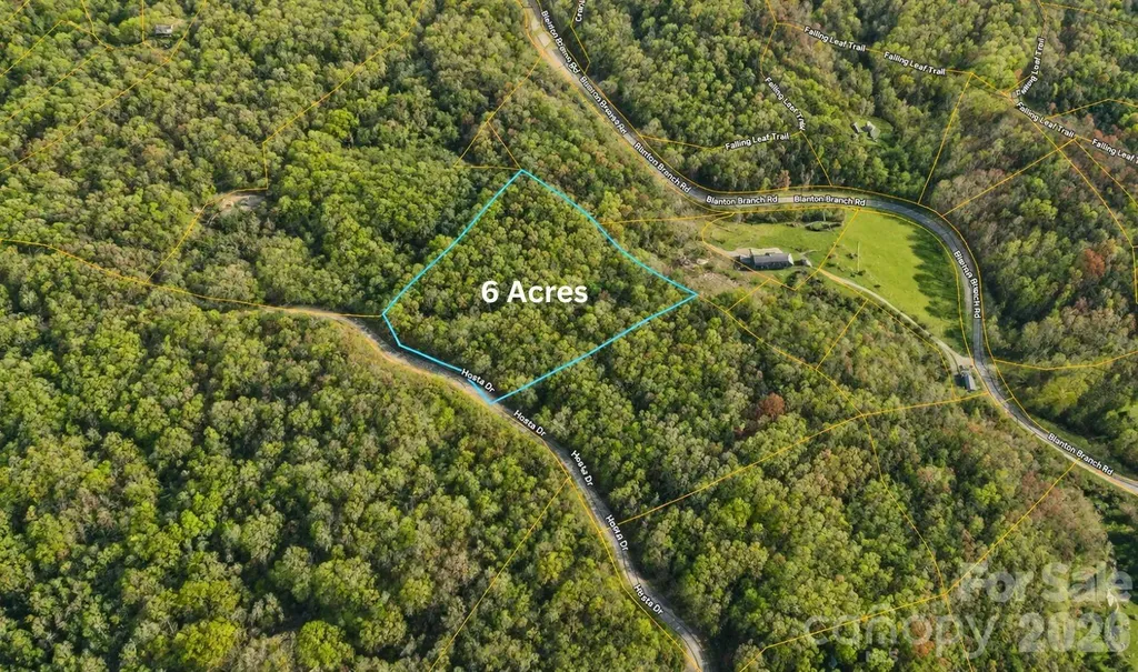 TBD1 Hosta Drive Sylva NC 28779