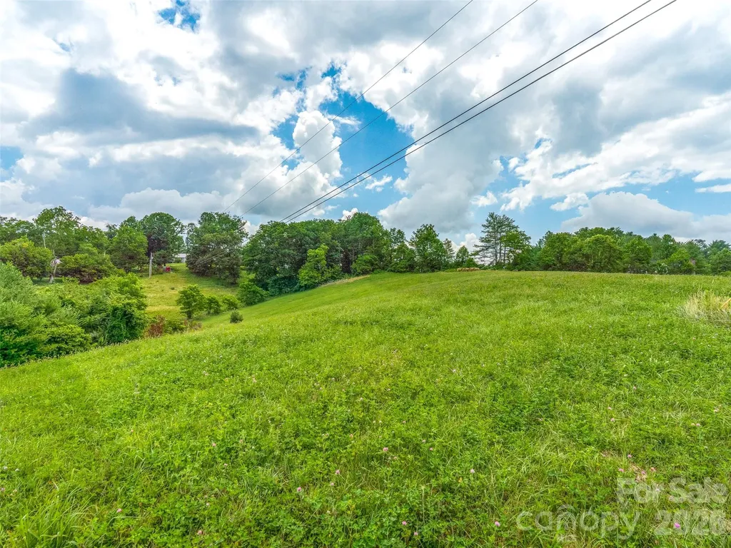 99999 Sprouse Town Road Weaverville NC 28787