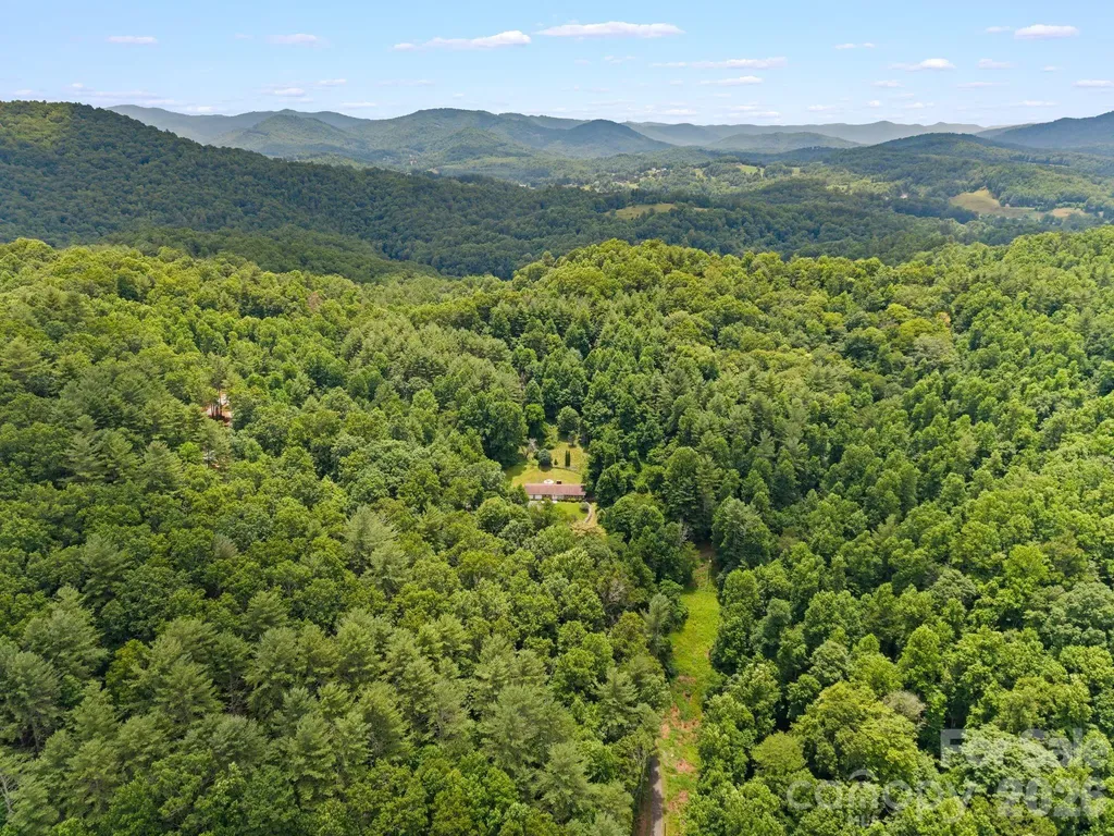 528 Baccus Siding Road Green Mountain NC 28740
