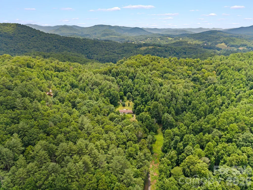 528 Baccus Siding Road Green Mountain NC 28740