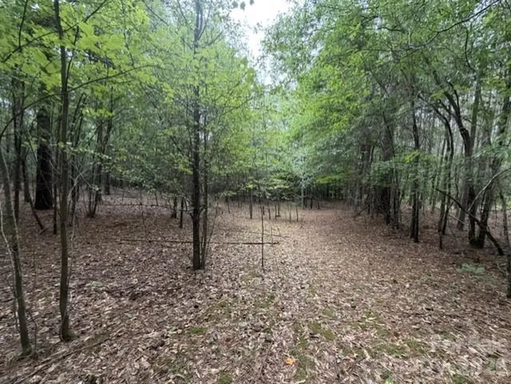 1100 Blacksburg Road Grover NC 28073