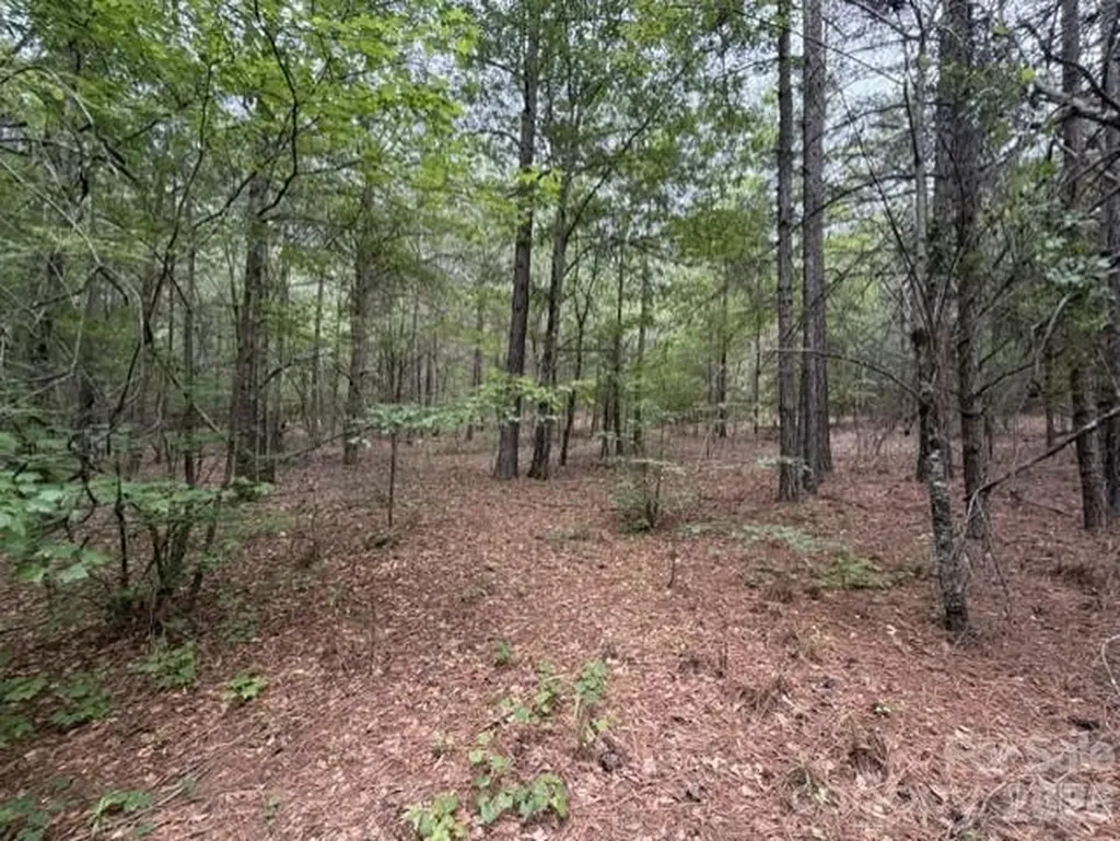 1100 Blacksburg Road Grover NC 28073