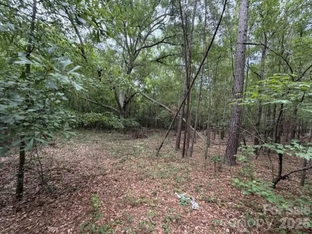 1100 Blacksburg Road Grover NC 28073