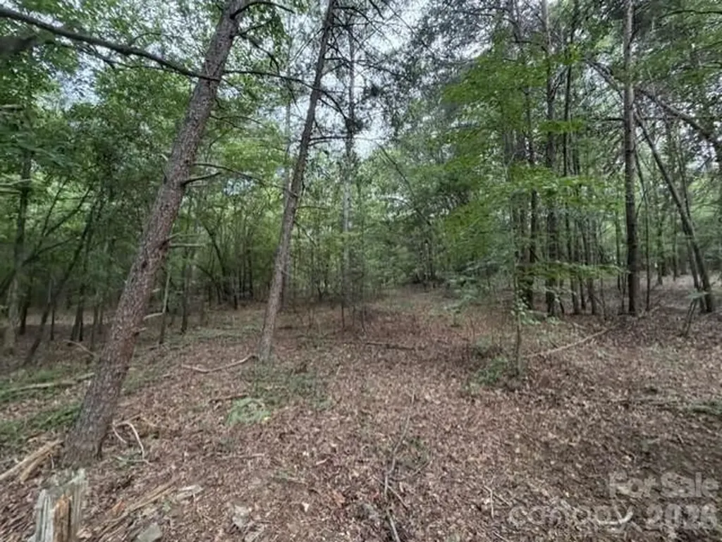 1100 Blacksburg Road Grover NC 28073