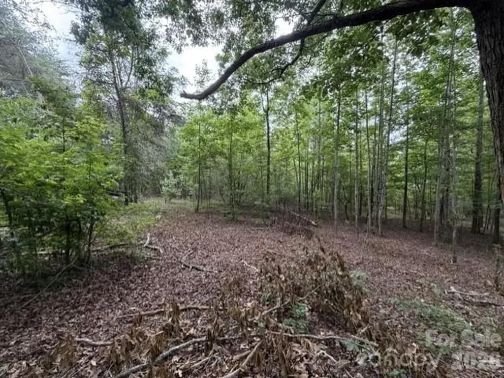 1100 Blacksburg Road Grover NC 28073