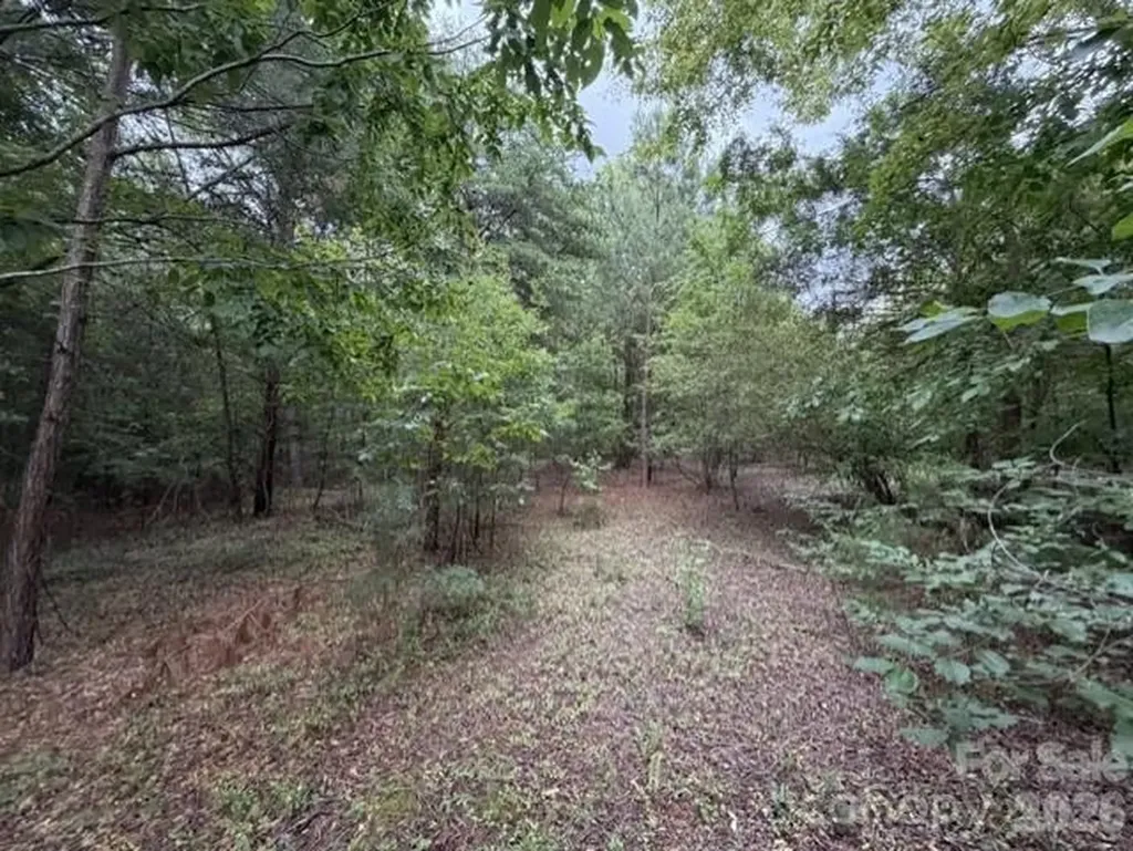 1100 Blacksburg Road Grover NC 28073