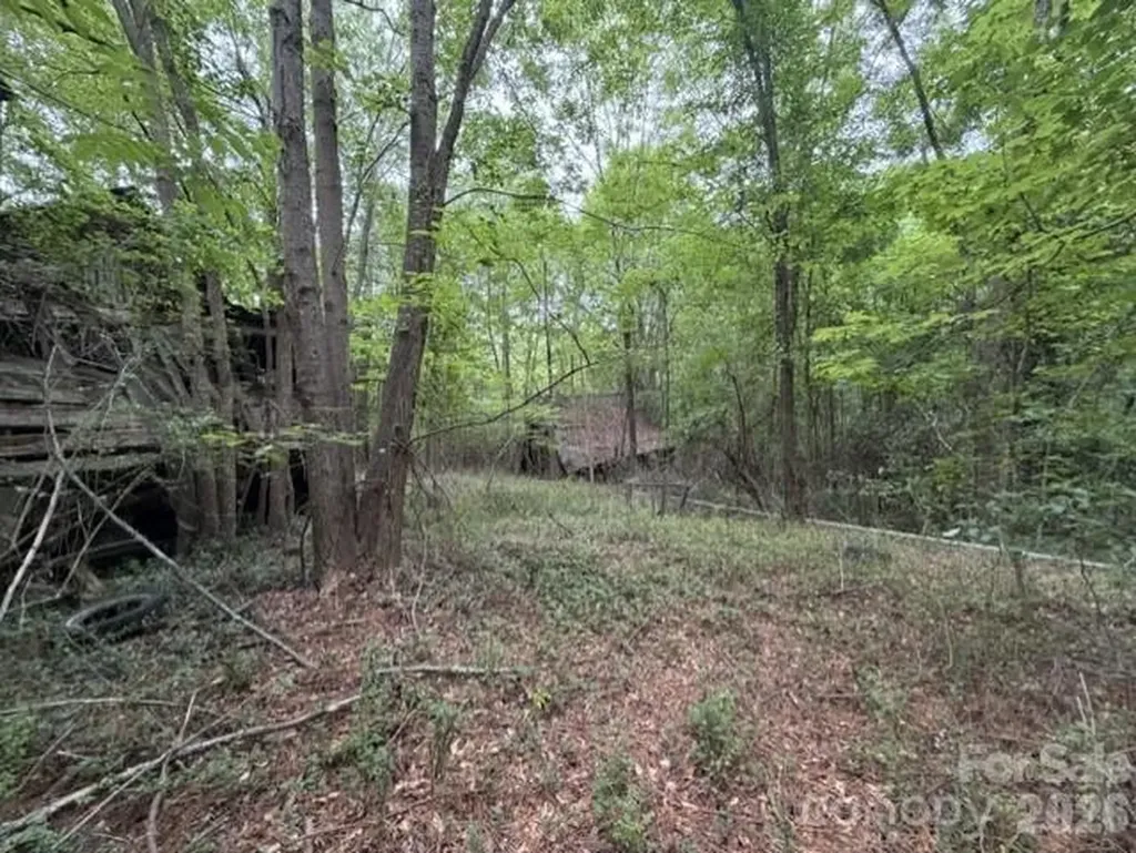 1100 Blacksburg Road Grover NC 28073