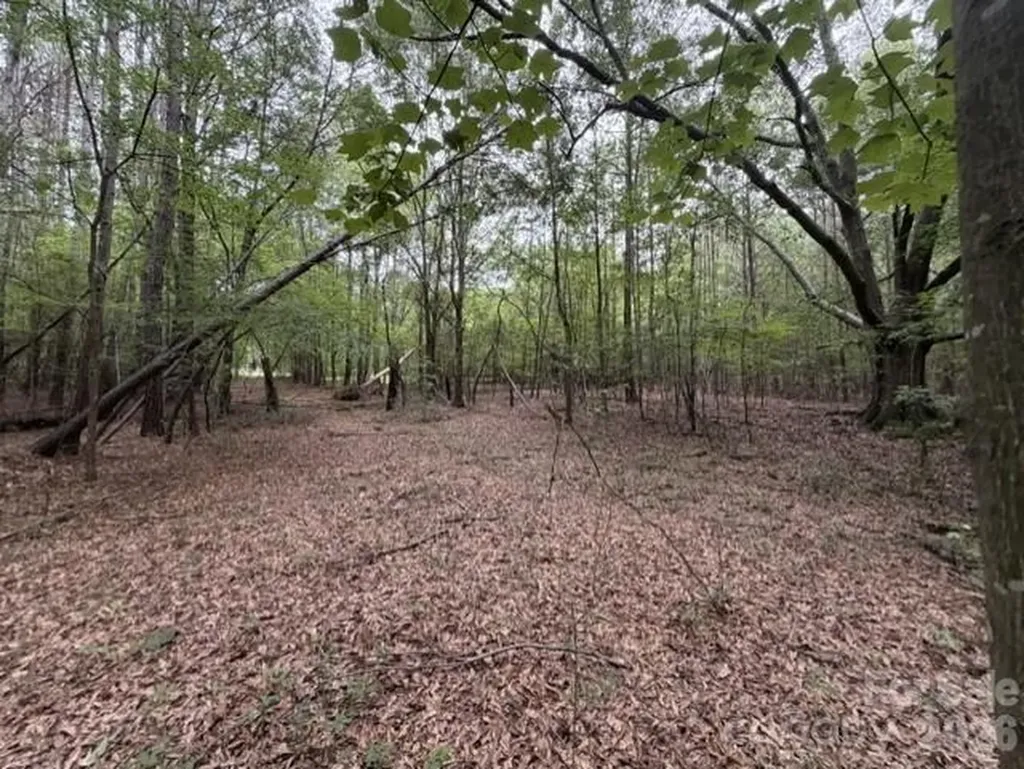 1100 Blacksburg Road Grover NC 28073