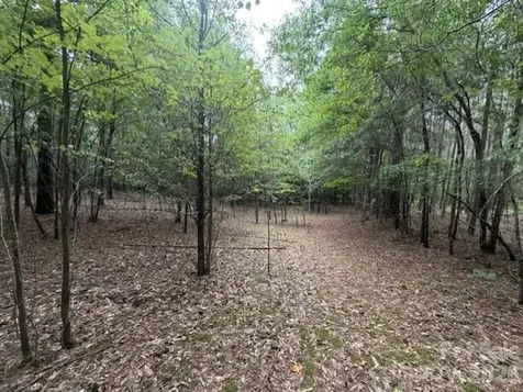 1100 Blacksburg Road Grover NC 28073
