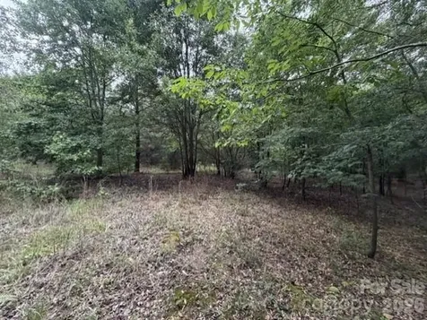 1100 Blacksburg Road Grover NC 28073