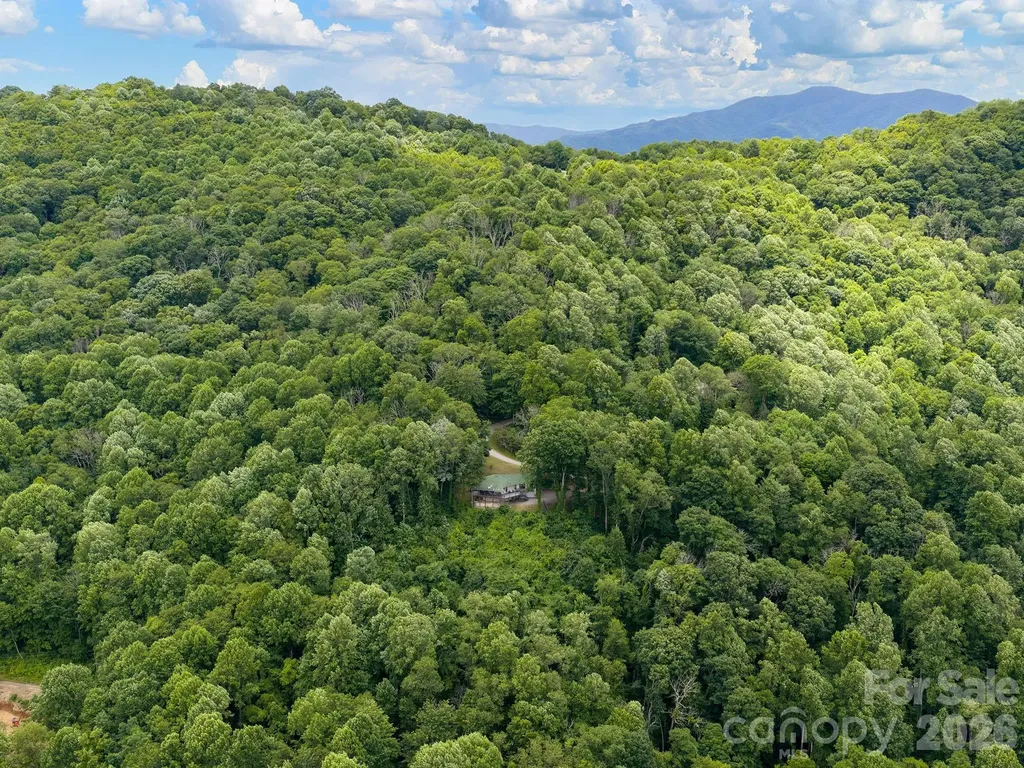 153 Windalier Lane Waynesville NC 28786