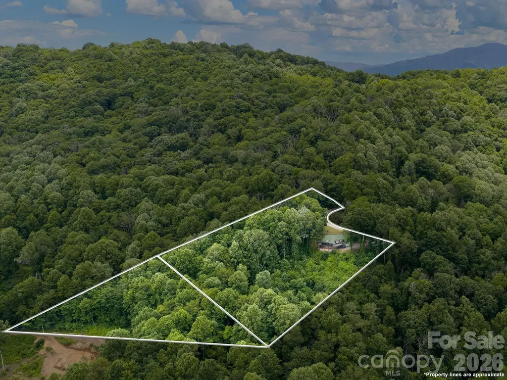 153 Windalier Lane Waynesville NC 28786