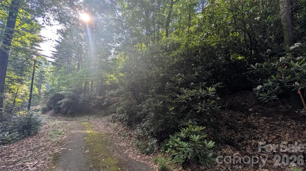 00 Chestnut Walk Waynesville NC 28786