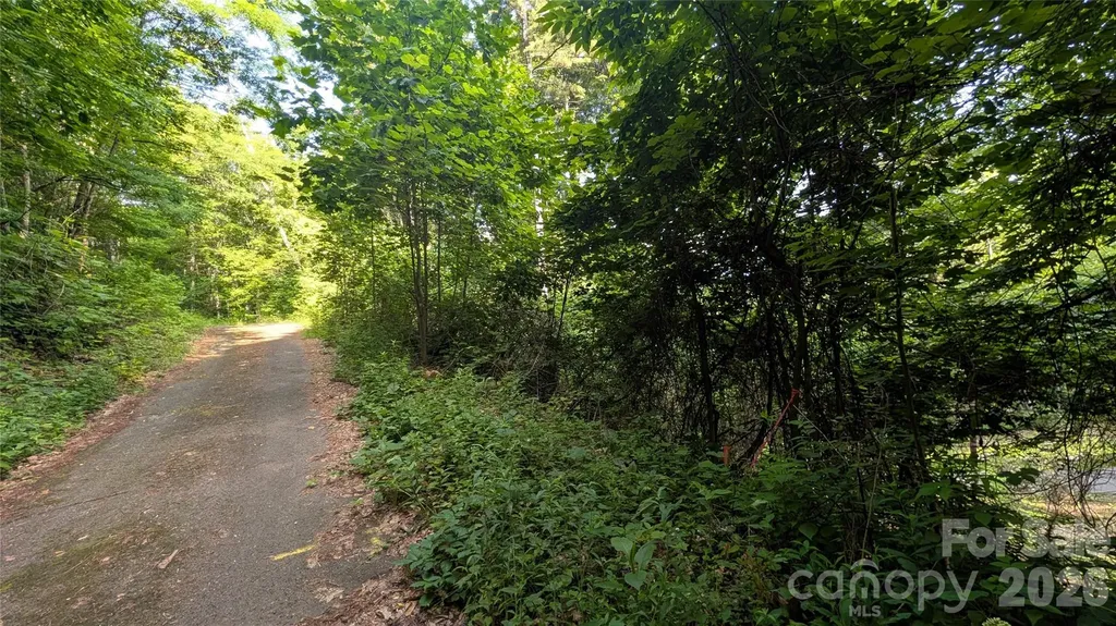 00 Chestnut Walk Waynesville NC 28786
