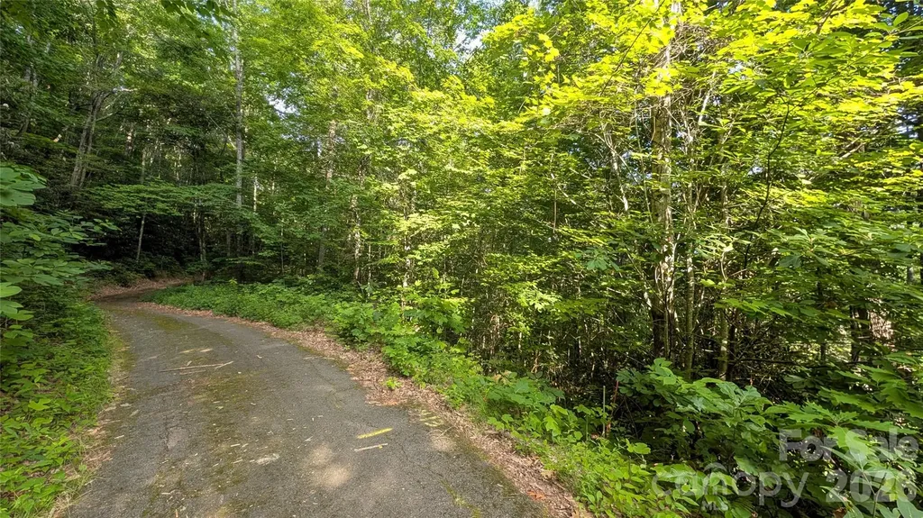 00 Chestnut Walk Waynesville NC 28786