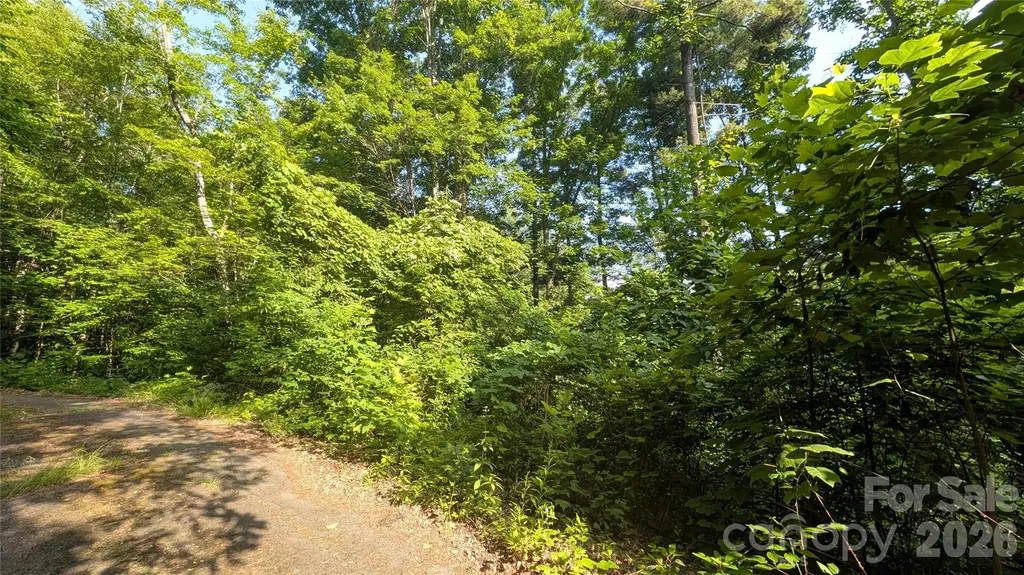 00 Chestnut Walk Waynesville NC 28786
