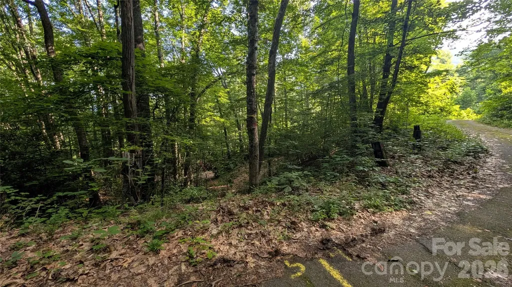 00 Chestnut Walk Waynesville NC 28786