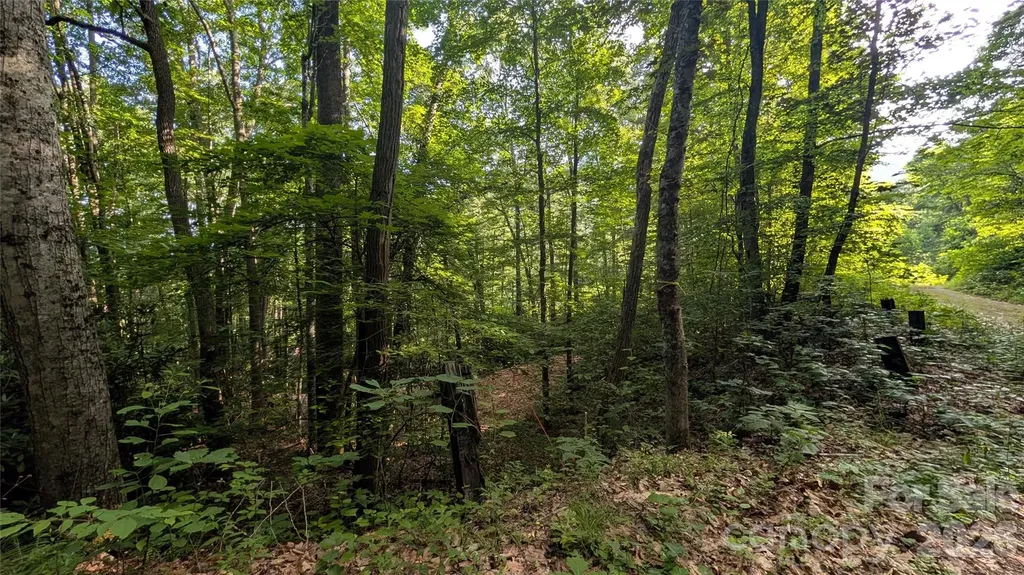 00 Chestnut Walk Waynesville NC 28786