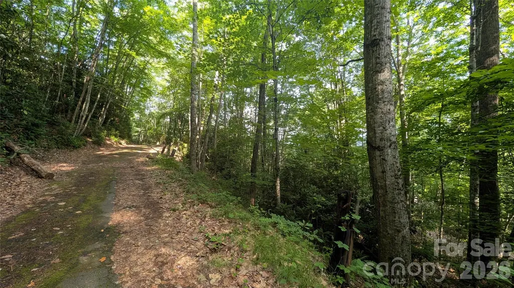00 Chestnut Walk Waynesville NC 28786