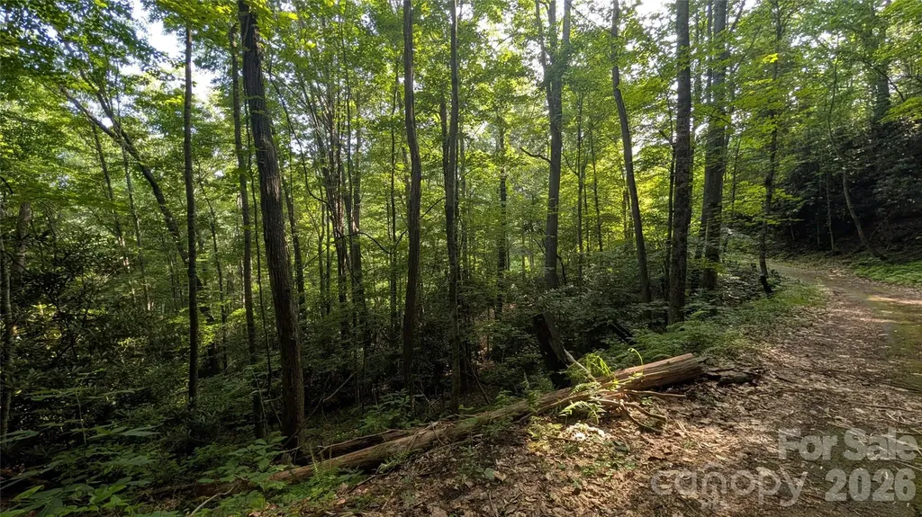 00 Chestnut Walk Waynesville NC 28786