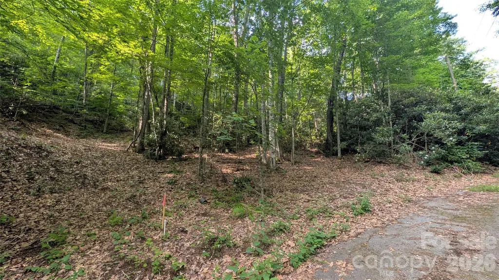 00 Chestnut Walk Waynesville NC 28786