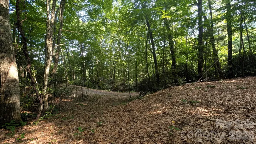 00 Chestnut Walk Waynesville NC 28786