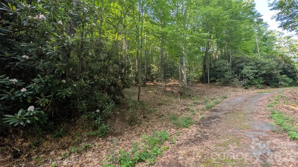 00 Chestnut Walk Waynesville NC 28786