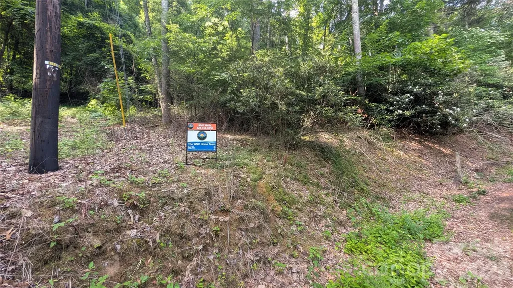 00 Chestnut Walk Waynesville NC 28786