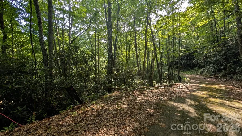00 Chestnut Walk Waynesville NC 28786