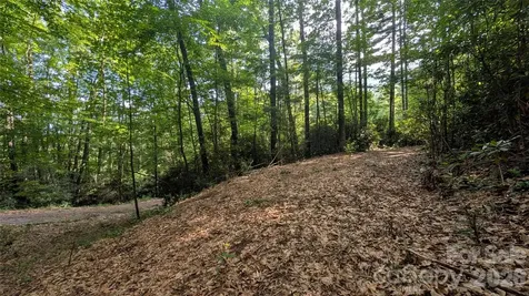 00 Chestnut Walk Waynesville NC 28786