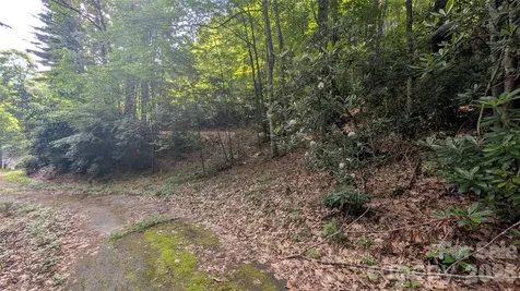00 Chestnut Walk Waynesville NC 28786