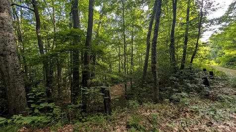 00 Chestnut Walk Waynesville NC 28786