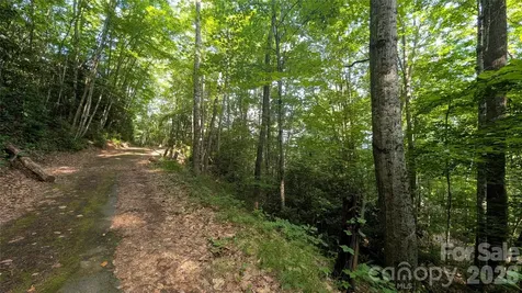 00 Chestnut Walk Waynesville NC 28786