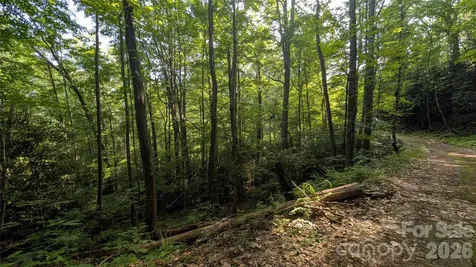 00 Chestnut Walk Waynesville NC 28786