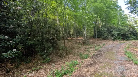 00 Chestnut Walk Waynesville NC 28786