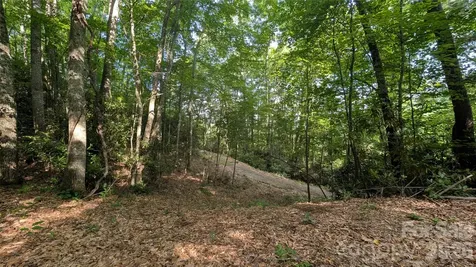 00 Chestnut Walk Waynesville NC 28786
