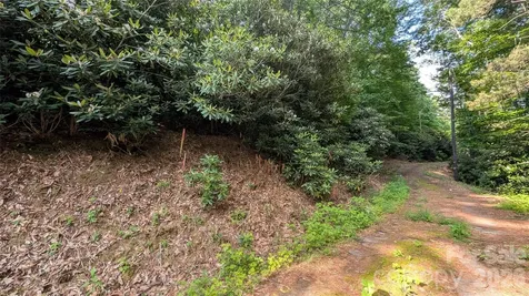 00 Chestnut Walk Waynesville NC 28786