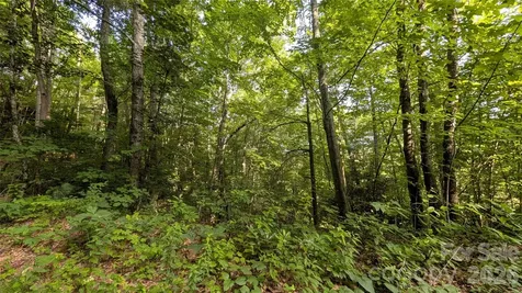 00 Chestnut Walk Waynesville NC 28786