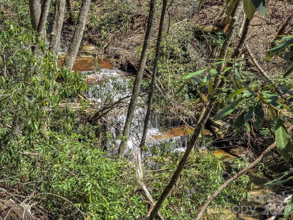 999 Bulling Creek Drive Hendersonville NC 28739