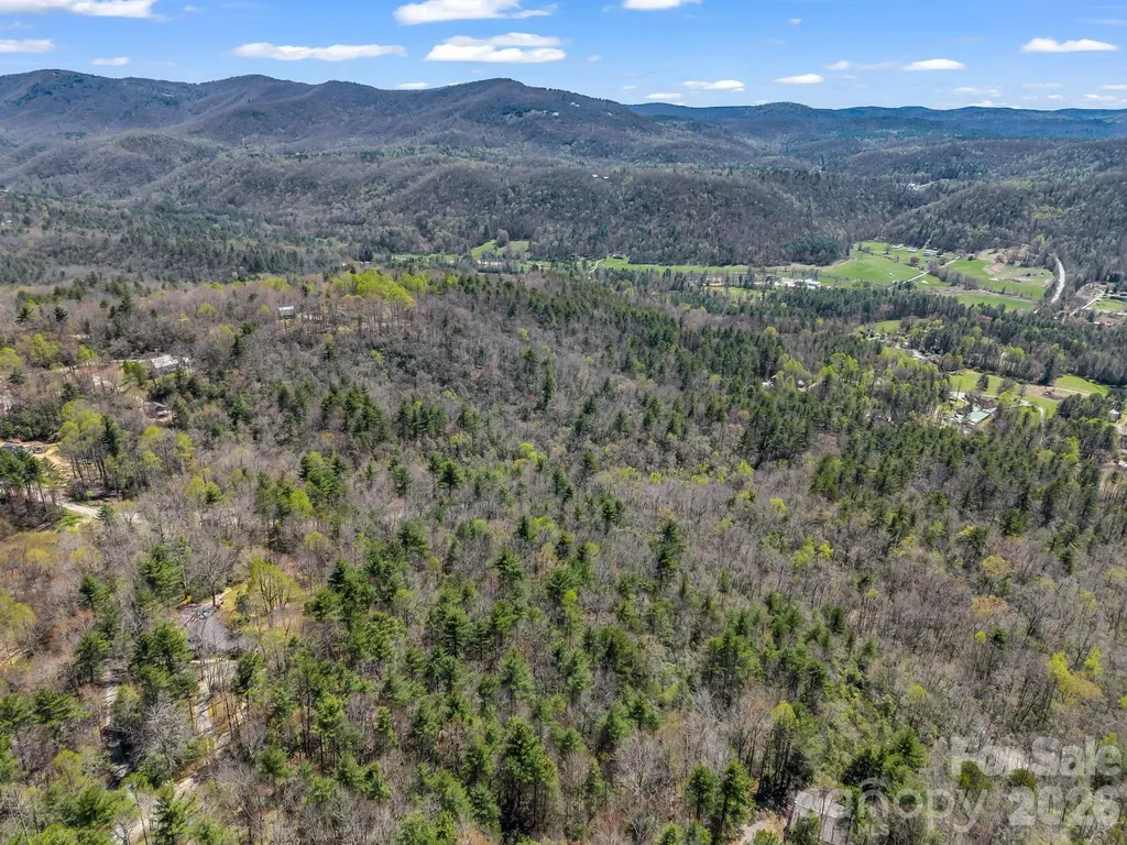 999 Bulling Creek Drive Hendersonville NC 28739