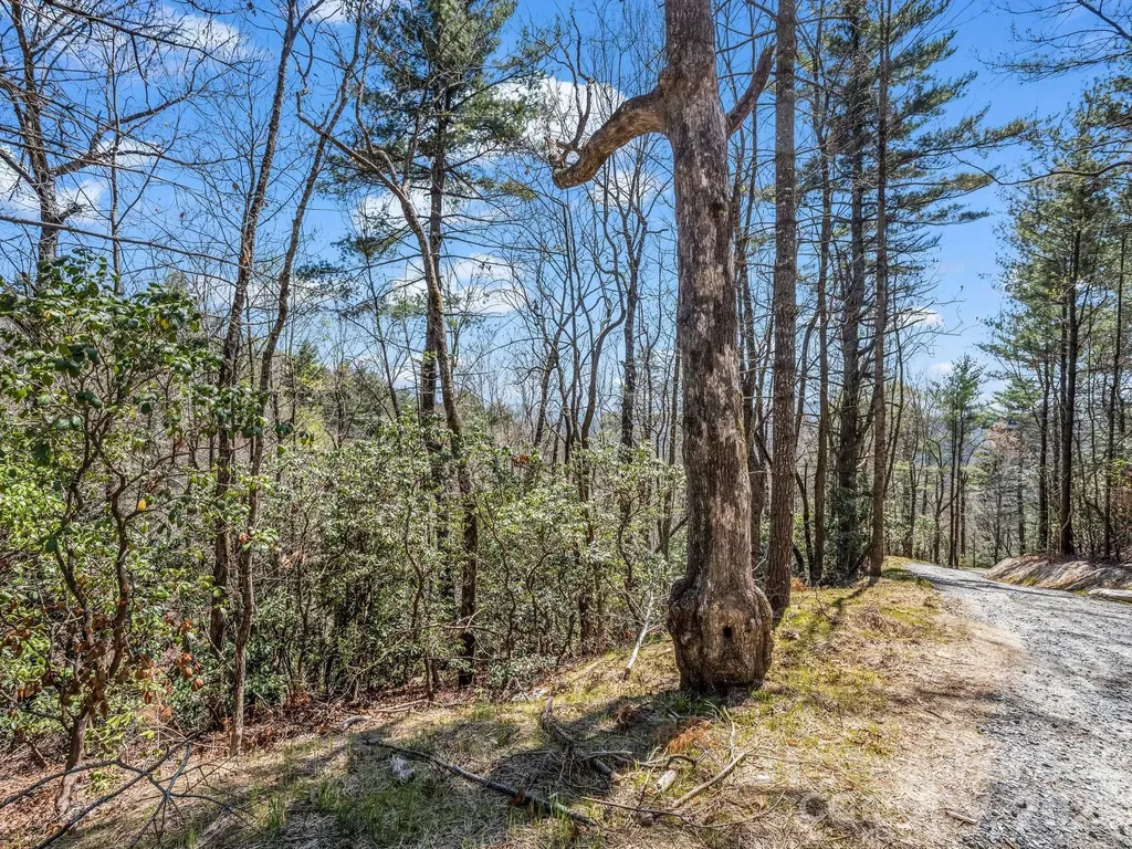 999 Bulling Creek Drive Hendersonville NC 28739