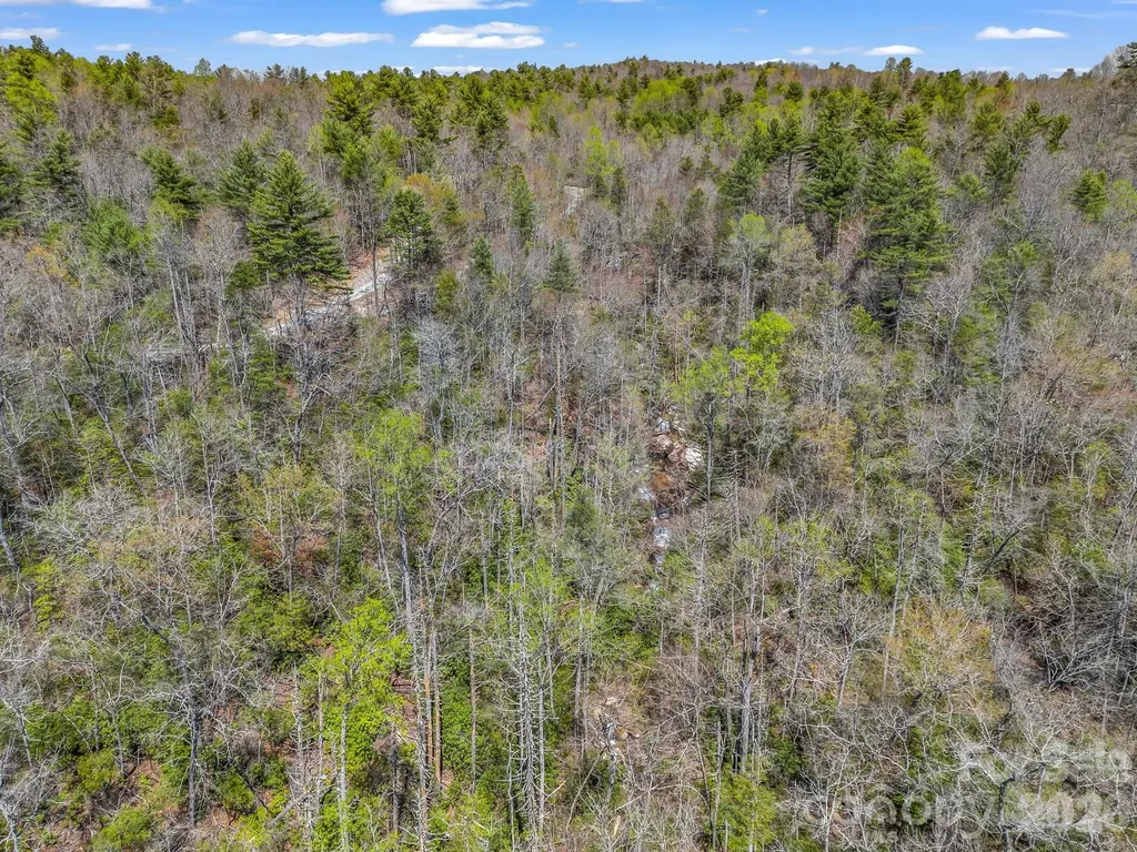 999 Bulling Creek Drive Hendersonville NC 28739