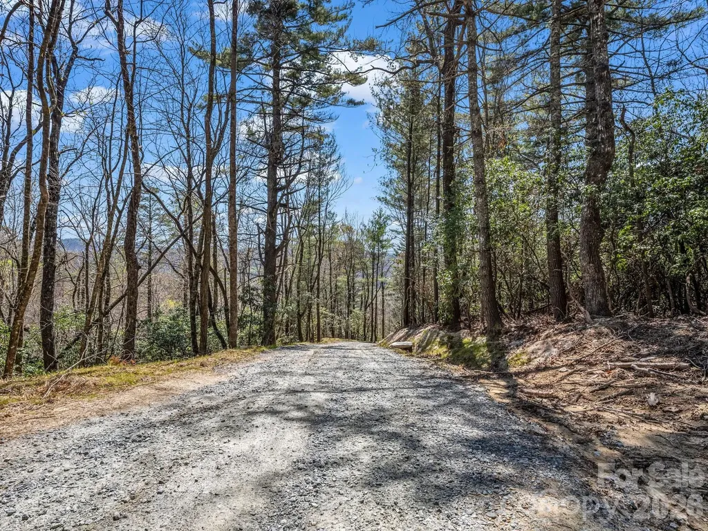 999 Bulling Creek Drive Hendersonville NC 28739