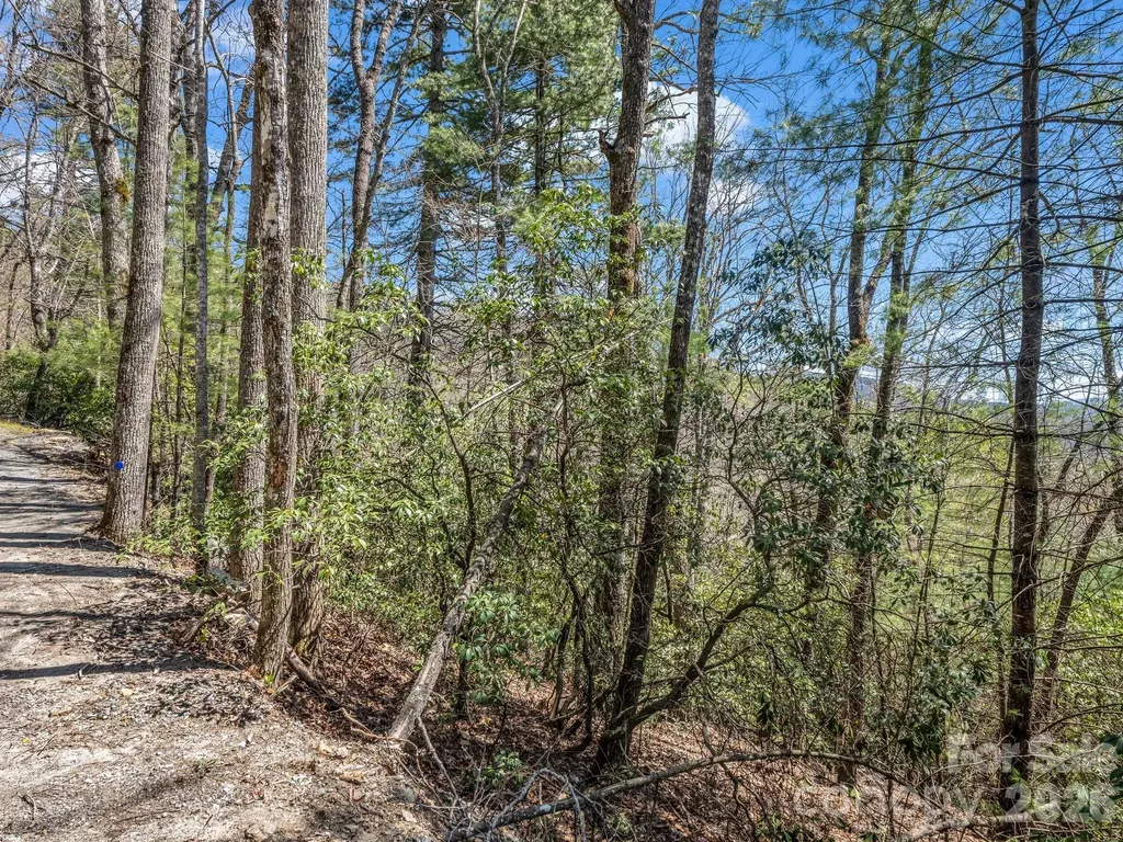 999 Bulling Creek Drive Hendersonville NC 28739